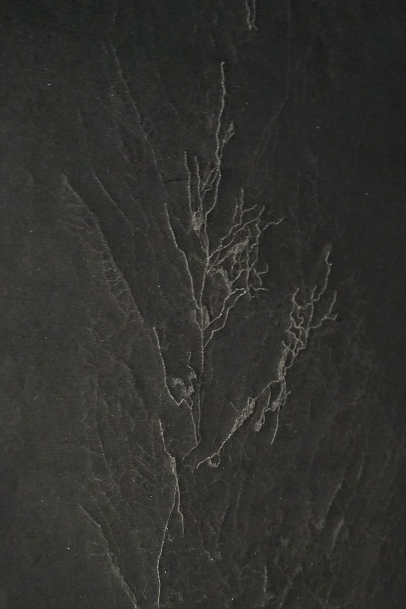 Cristina Gozzini, (A Step) Out Of Me, Calpestio, Dittico, disegno su carta carbone, 70×50 cm II