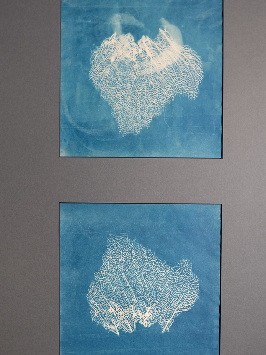 Cristina Gozzini, (Il Suono) nella Mano Mano, Cromofori, 2018-2025, Dittico Cianotipia, 50×70 cm