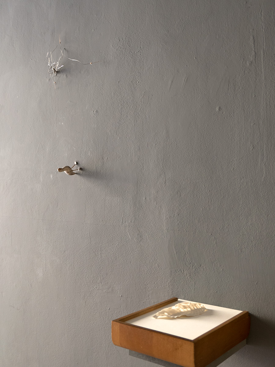 Cristina Gozzini, 2025, (Il Suono) nella Mano, Firenze Crumb Gallery.