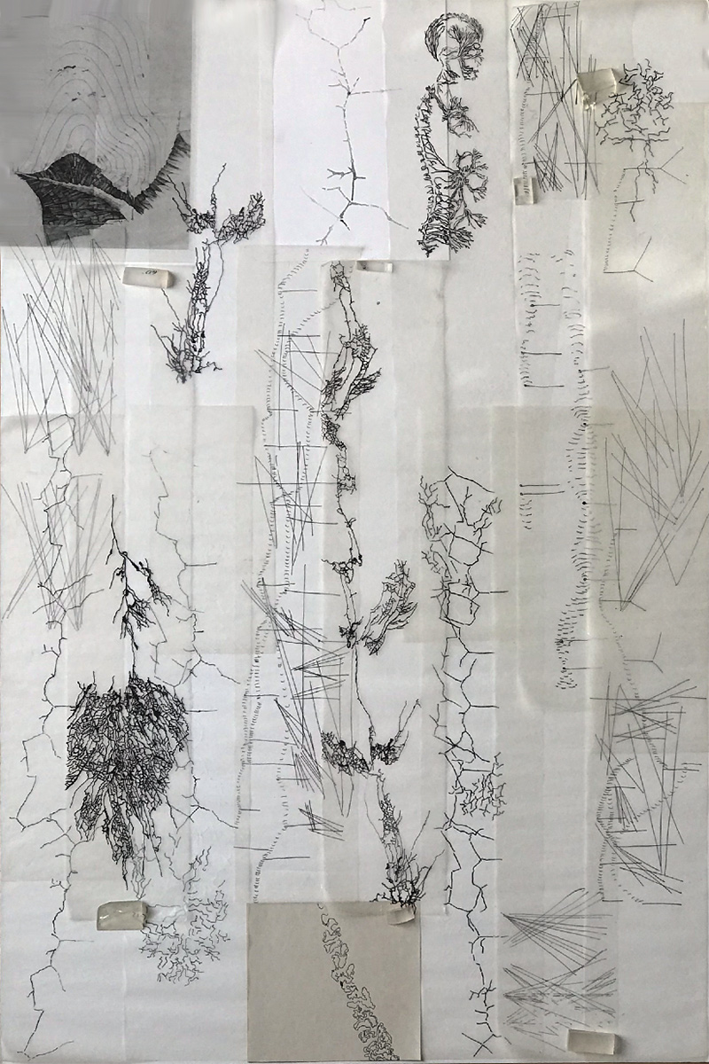 (A Step) Out Of Me 2017/24 Disegno a China su Carta e vetri di recupero Dimensioni variabili