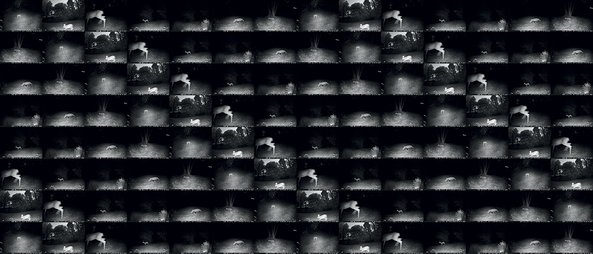 Segno Istante, 2015, Still da Video, Siena.