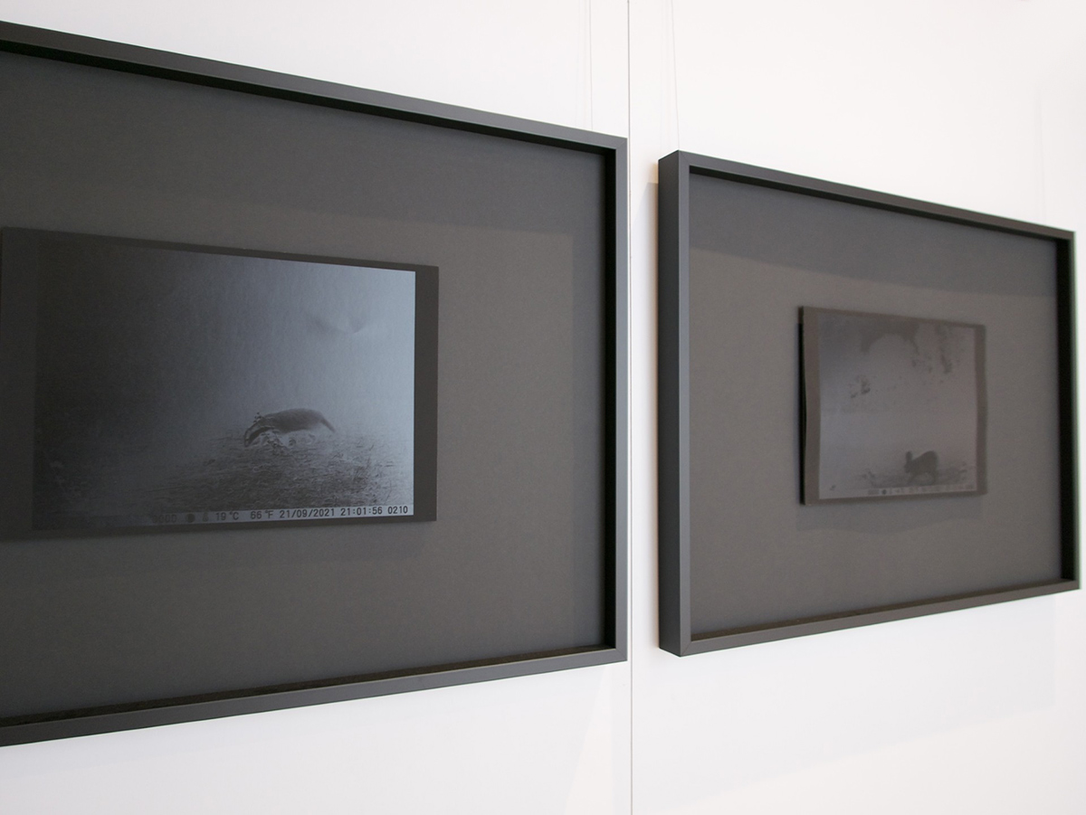 Segno Istante, 2025, Siena