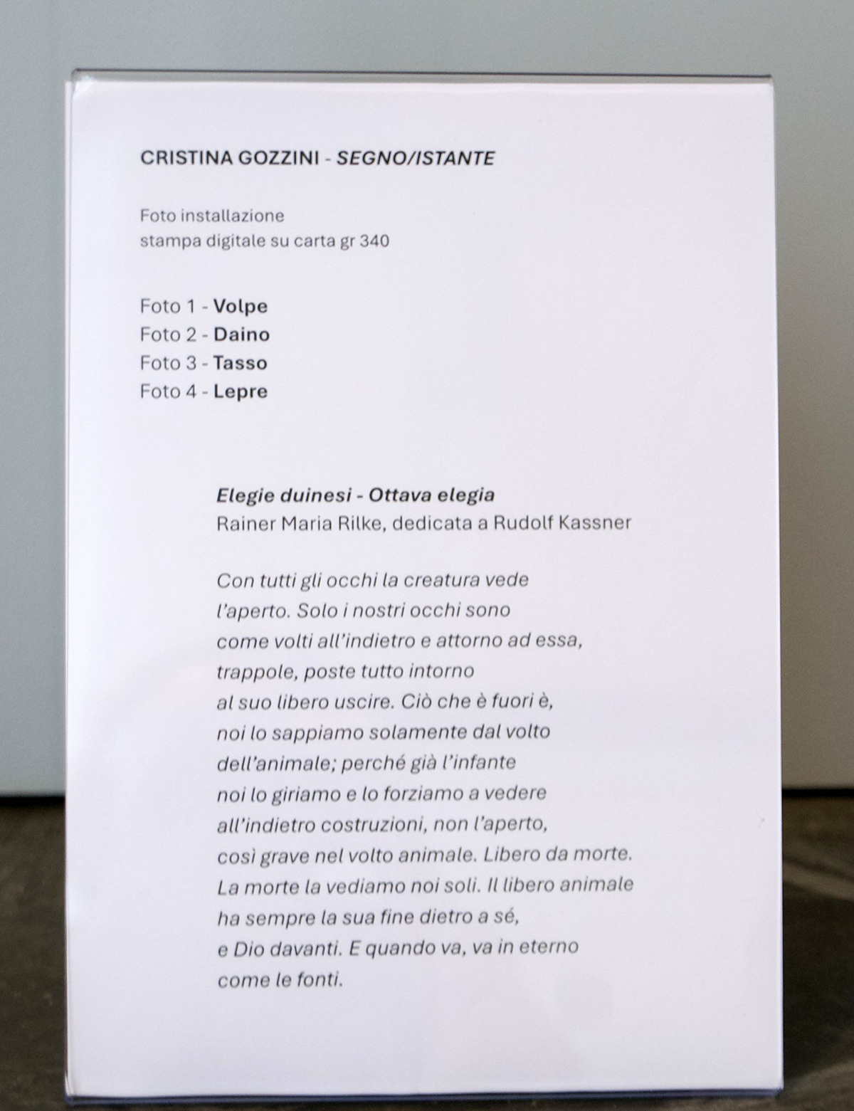 Segno Istante, 2055. Raggioverde, Accademia dei Fisiocritici - Siena.